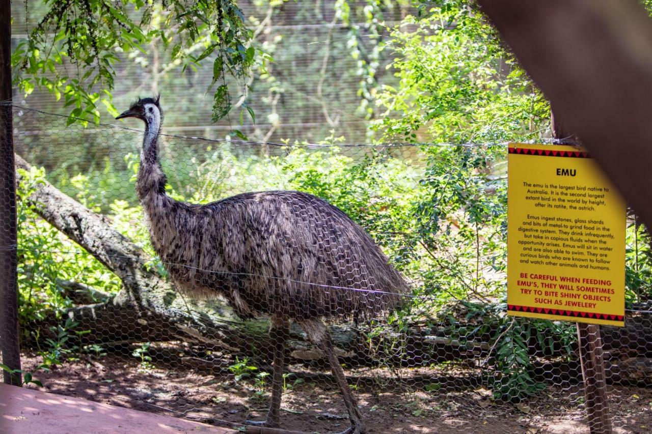 Gooderson Dumazulu Lodge Hluhluwe Eksteriør billede